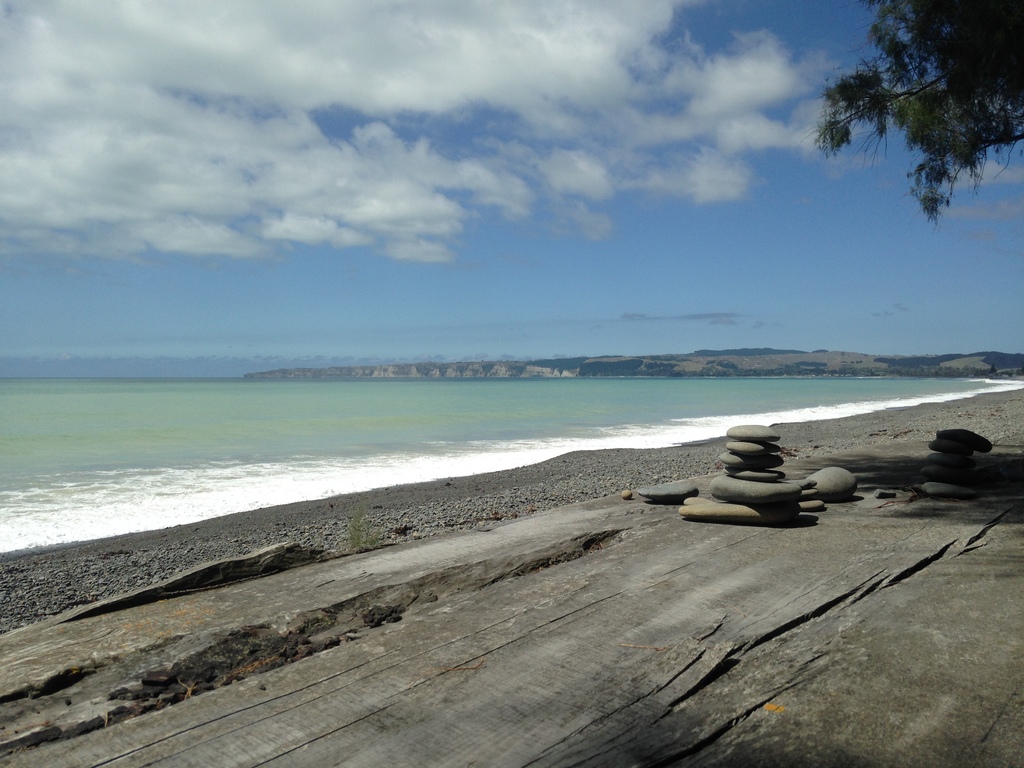Sun, beach, fishing and surfing 