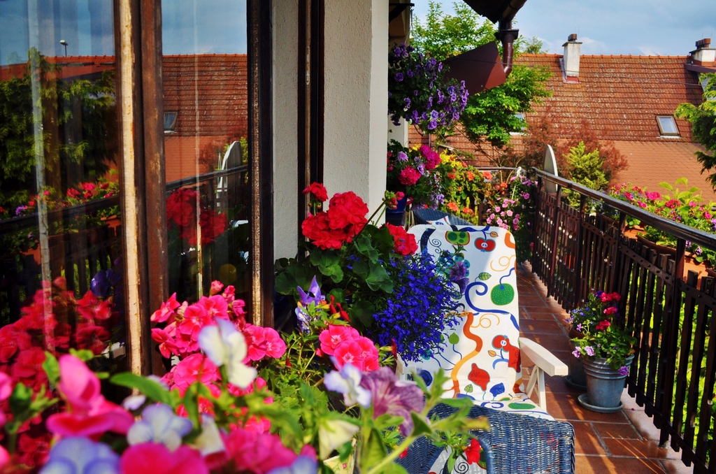Our favourite southern balcony 