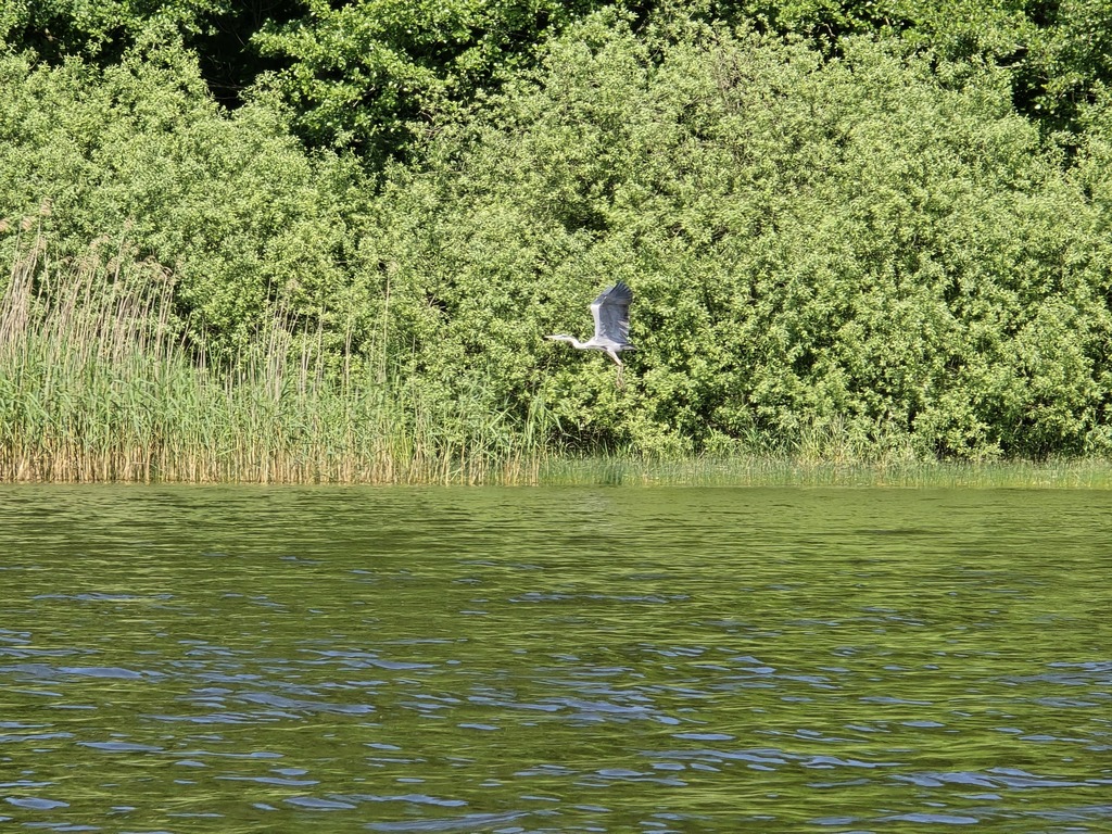 our lake 2