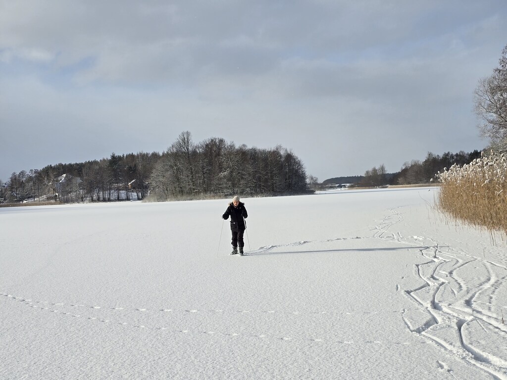 our lake 5