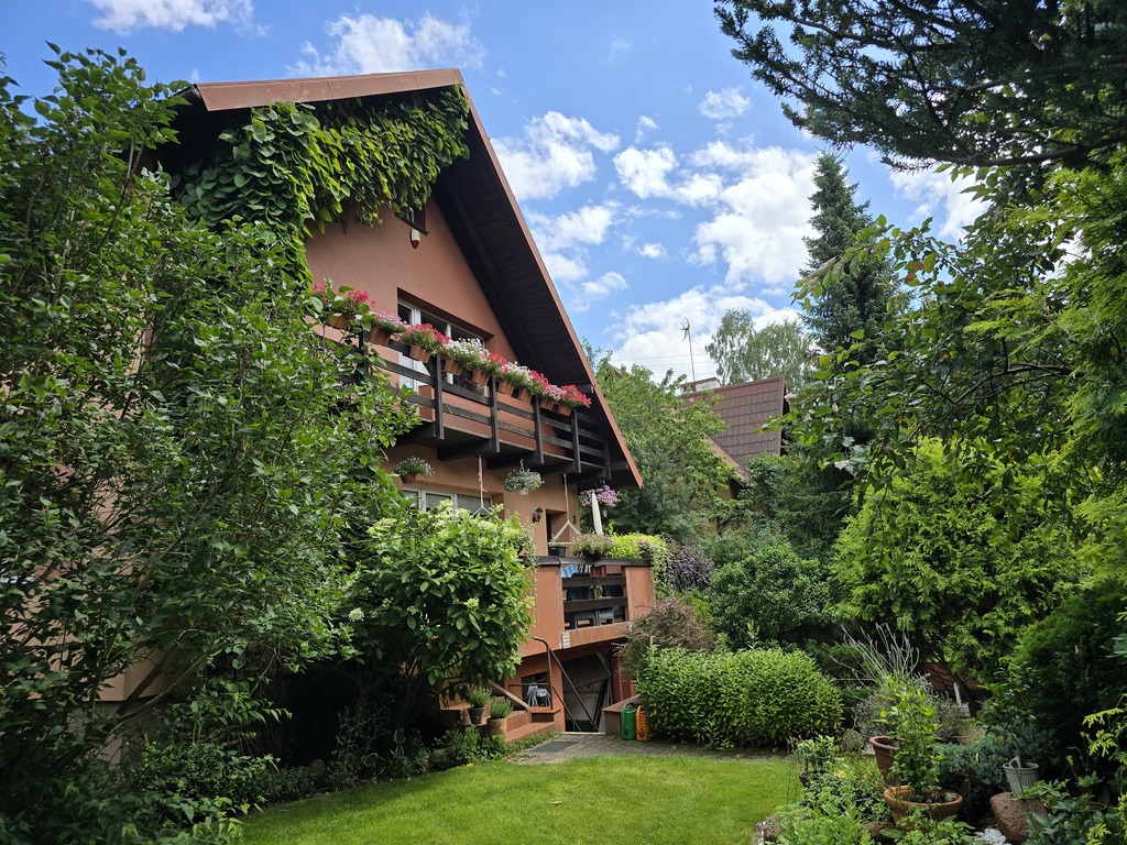 house and garden - summer