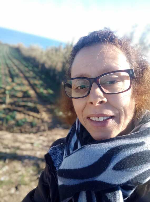 Caminhar pelos campos