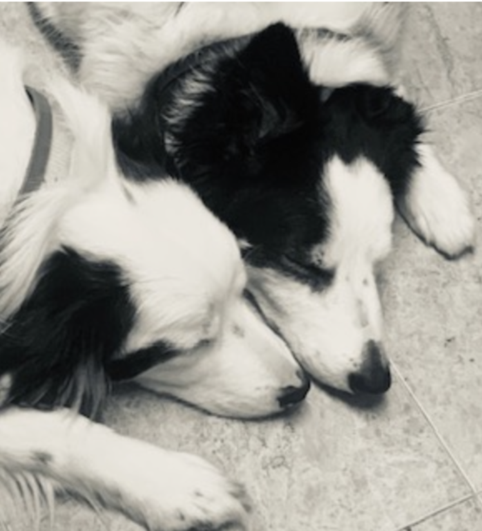 Mila & Macy
