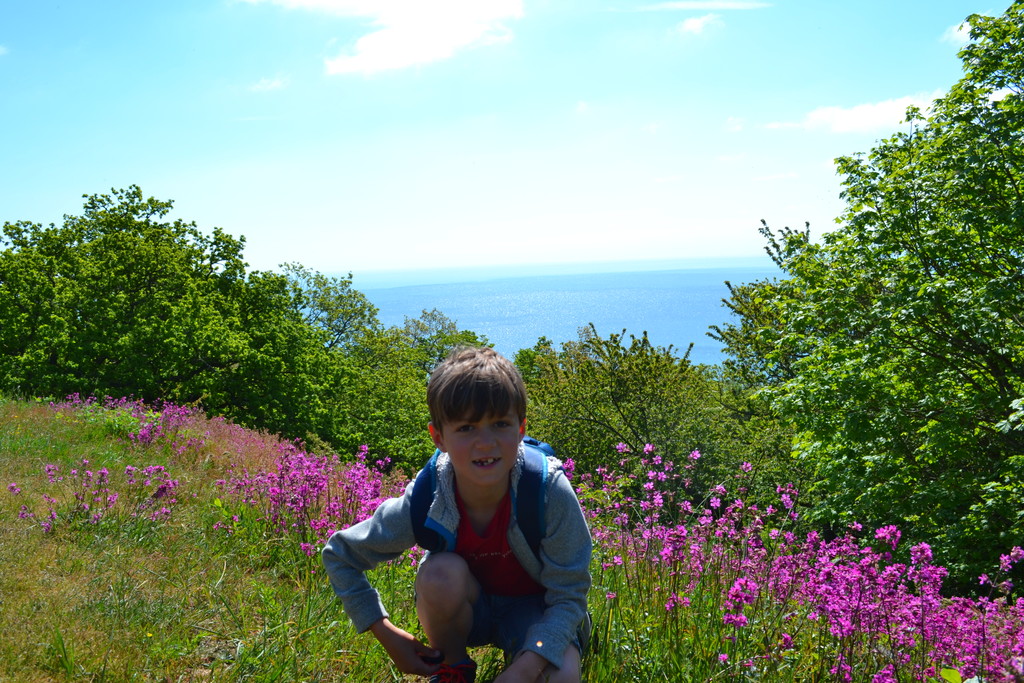 Summer at Stenshuvud, 1 hour by car.
