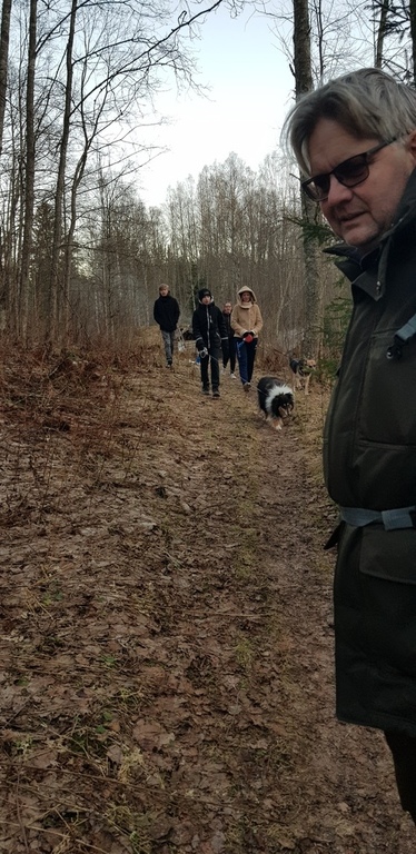 Our four kids out on a walk on the forrest up in Dalarna