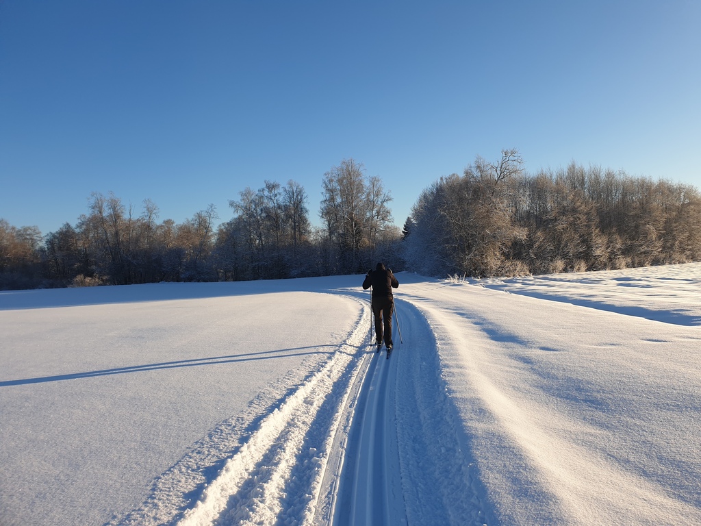 Go skiing is fun to do in the winter