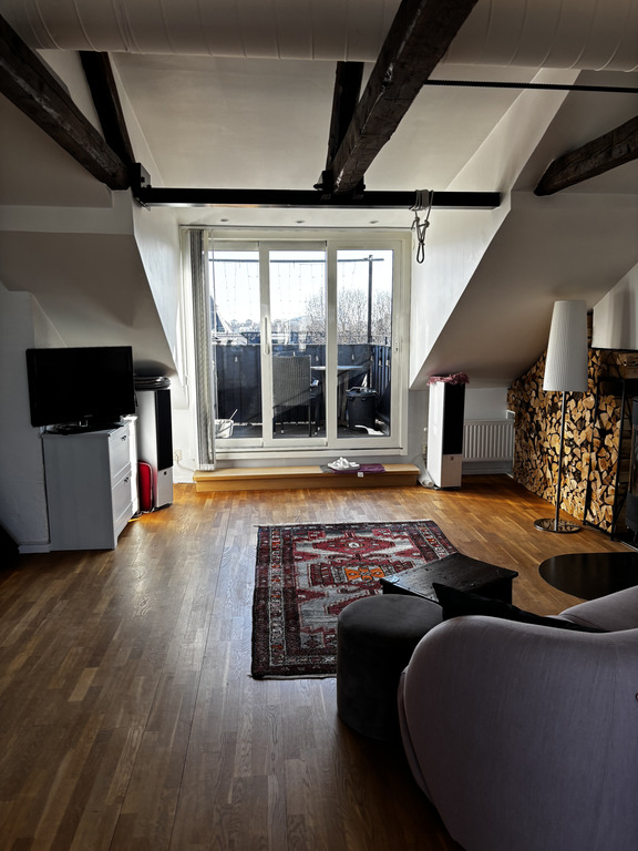 South part of living room and balcony