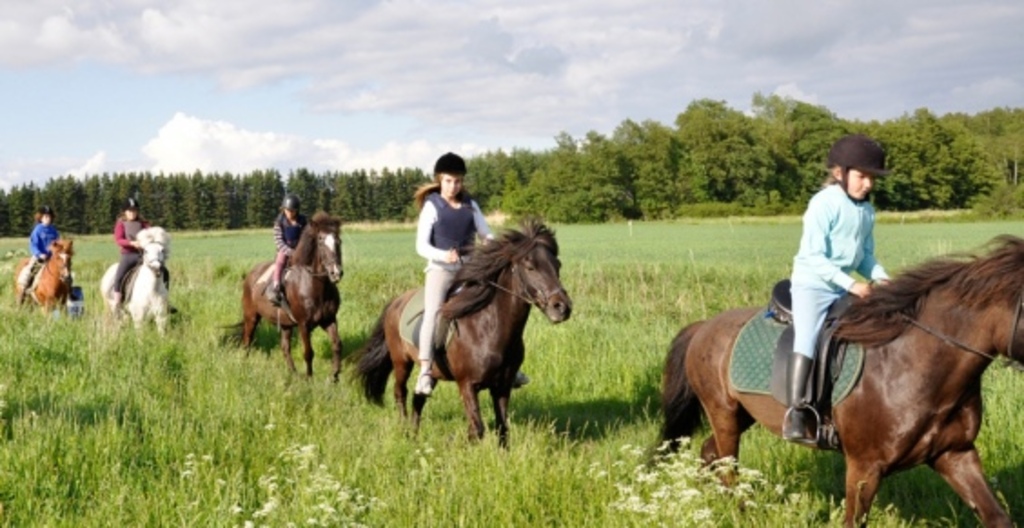 Horseback riding is extremly popular in our parts. There are stables and opportunities to ride everywhere!