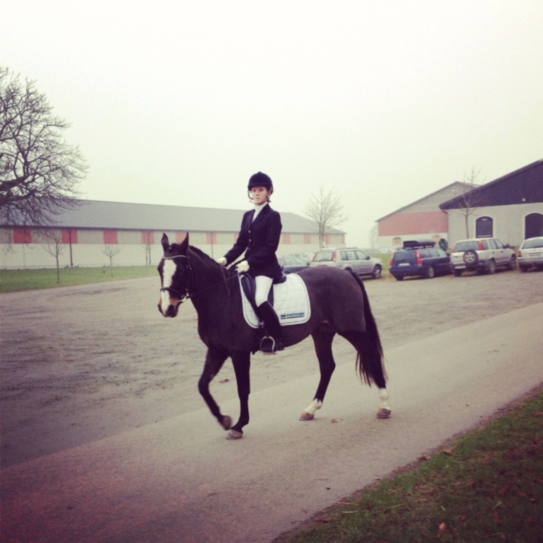 Lykke at competition