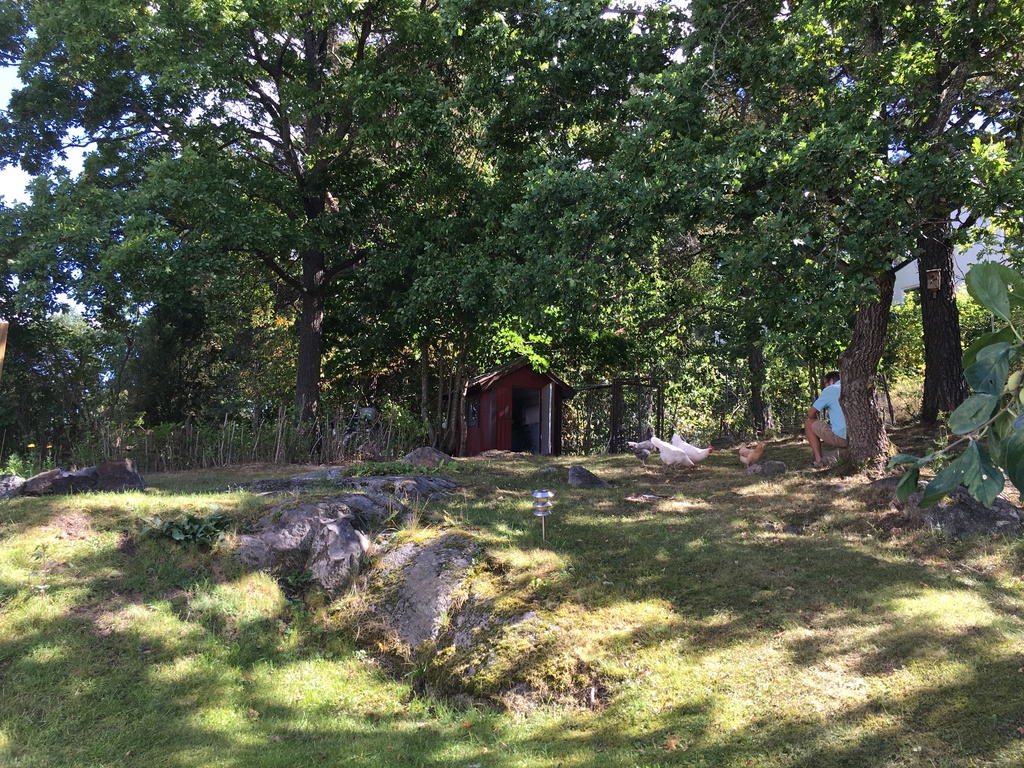 The chicken house in the garden