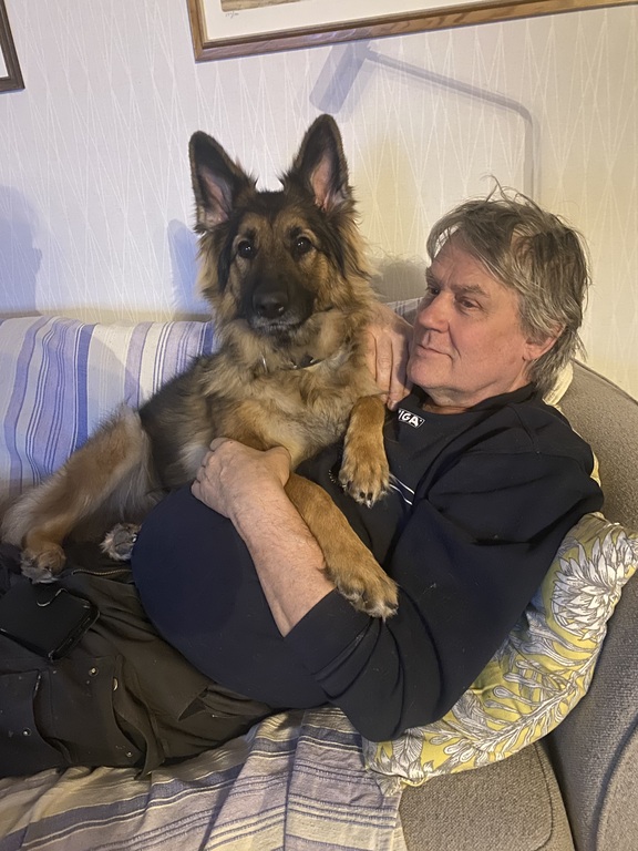 Tifelle is the dogs name, she was raised by the swedish army but didn´t pass all the tests so she ended up at our home