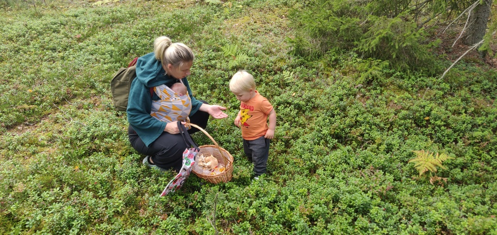 Annie, Sam and Carl picking mushrooms and blueberries in August 2019, 20 minutes from home :)