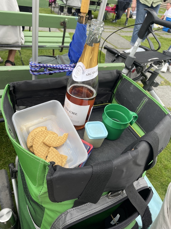 Timos drag vagn  innehåller allt vad vi behöver 