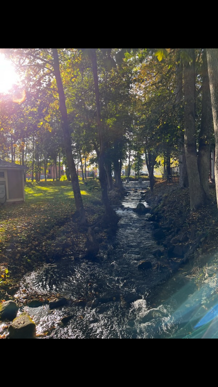 Tidaholm’s beautiful nature