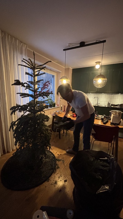 Magnus in action taking down the Christmas tree.