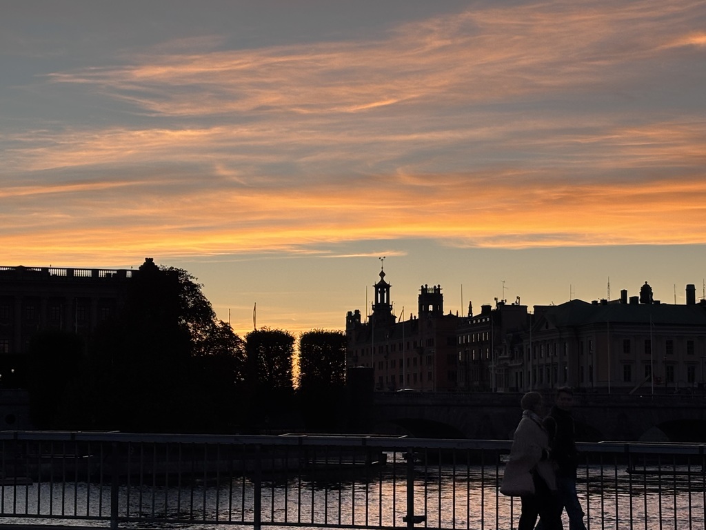 Taken on a evening walk in the city of Stockholm October 2025.