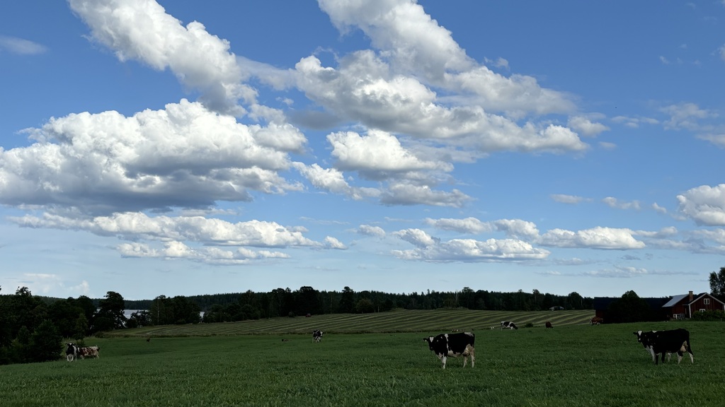 More Astrid Lindgren scenery from our summer house. 