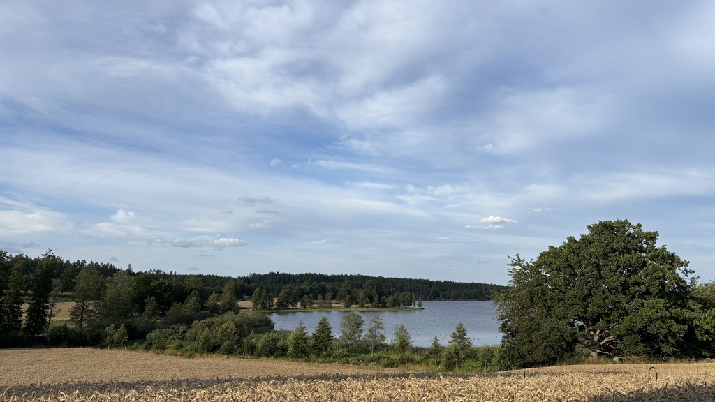 Scenery, photo from kitchen window in our summer house outside of Västervik. Astrid Lindgren was born in this area.