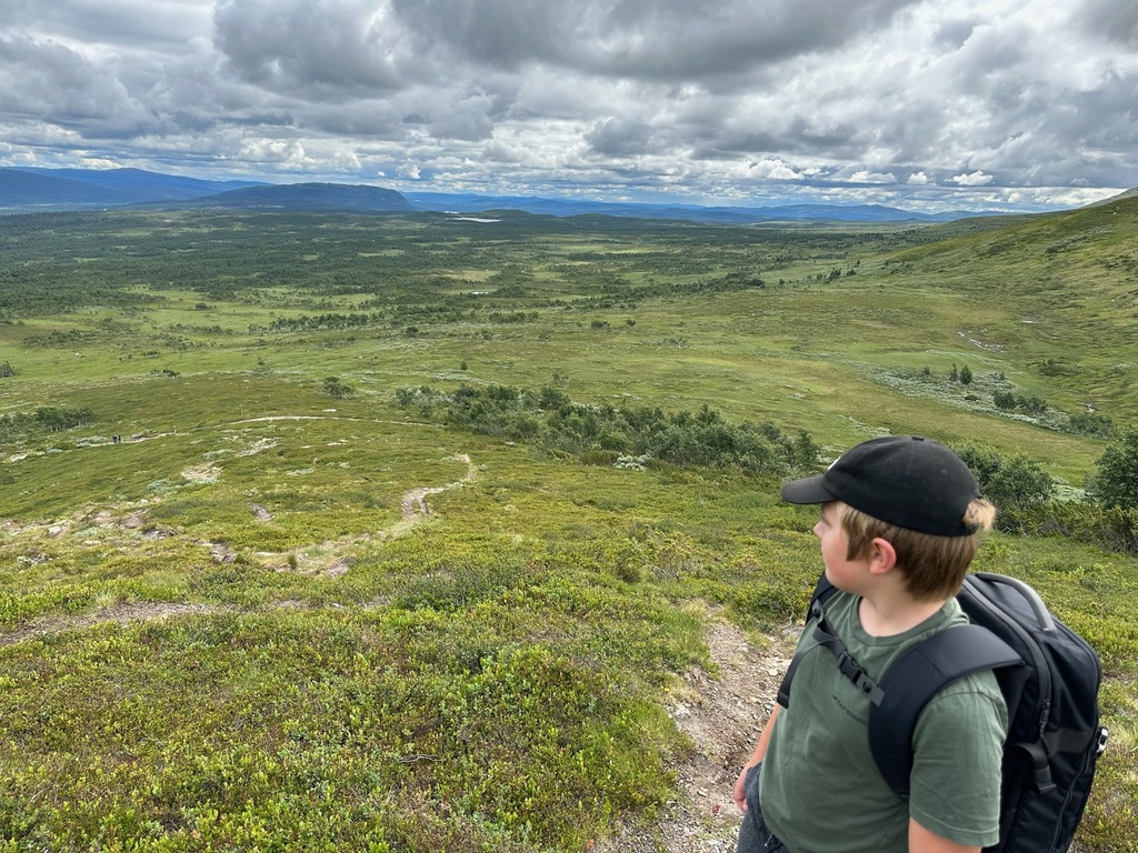 Hiking in the north of Sweden, this is 2024 on our way to "Kebenekajse" 