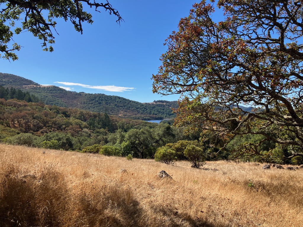 Annadel State Park, very close to Oakmont. 