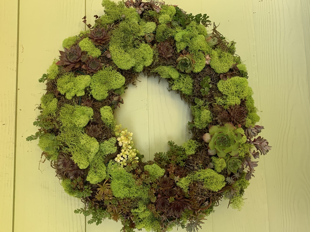 Love gardens and gardening