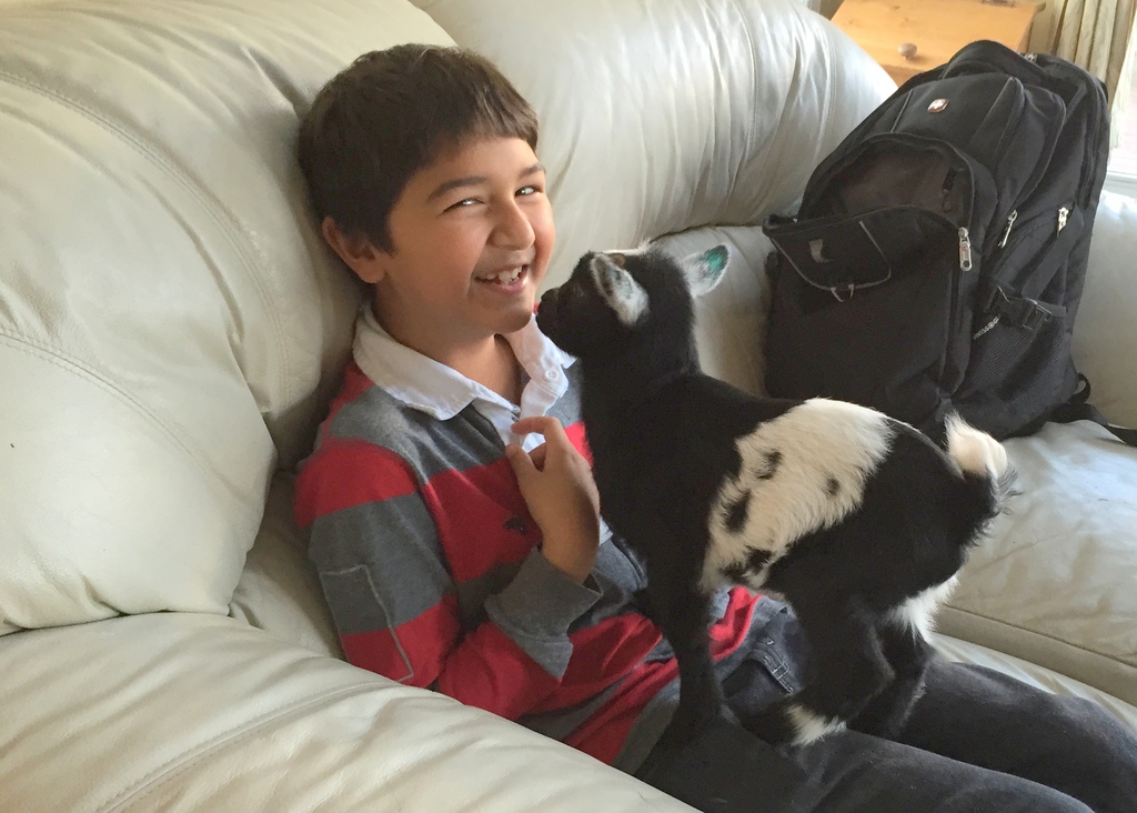 A visiting grandson enjoying Baby