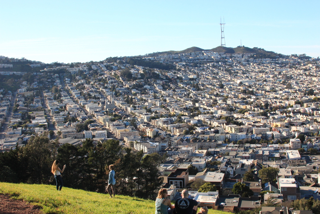 The hill behind our house, Bernal Hill, where we walk and all the dogs walk! Bernal Heights, considered the sunniest neighbor...