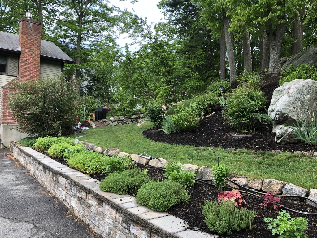 Gardens along Driveway