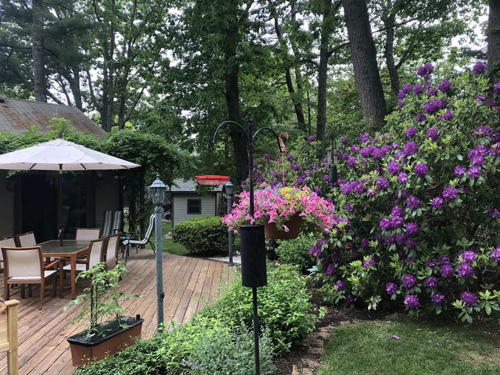 Outdoor Deck in Springtime