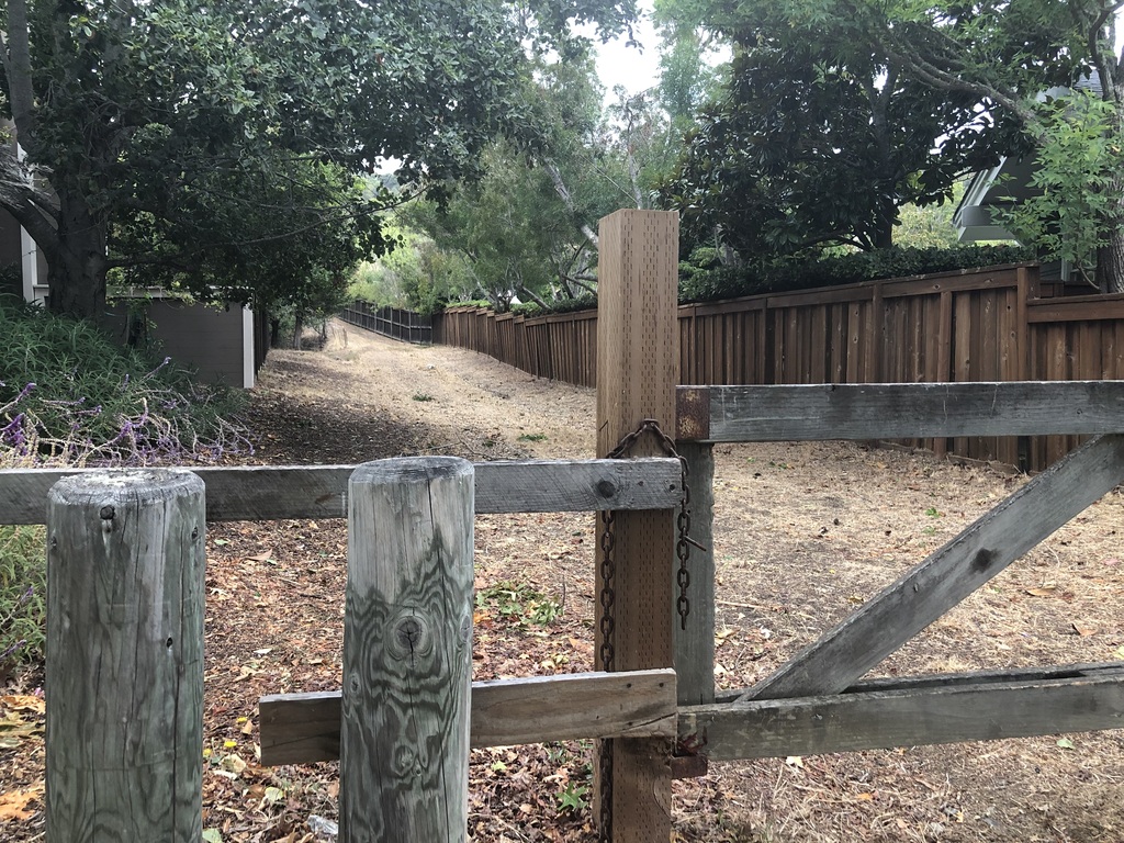 Hike in our neighborhood