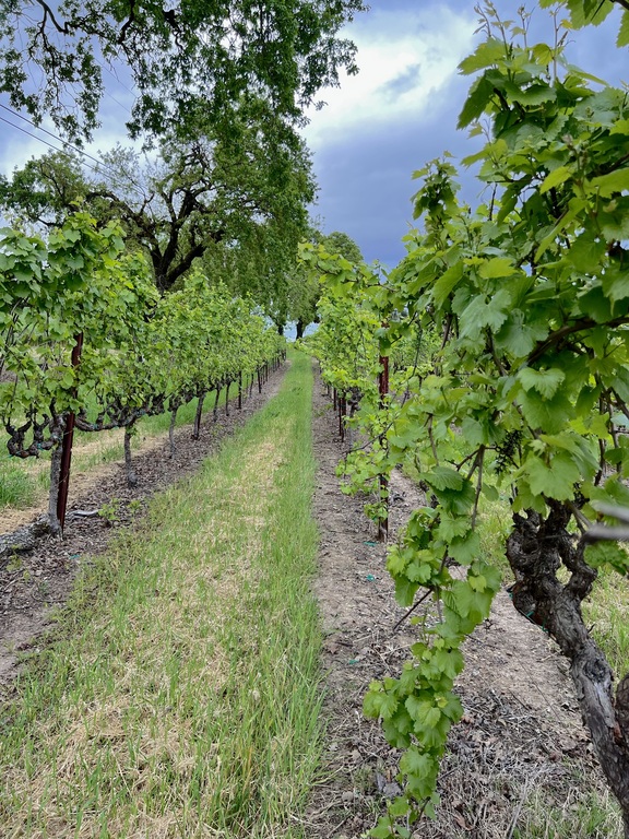 Wine country weekend