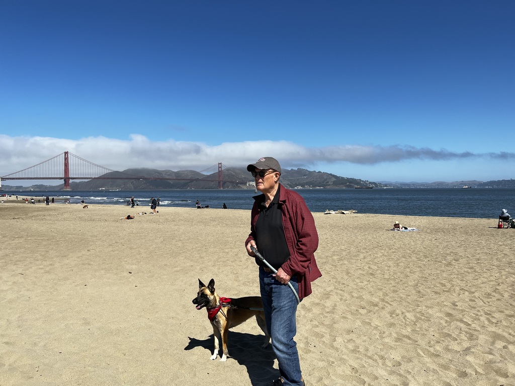 Looking from San Francisco towards Marin County, across the Golden Gate