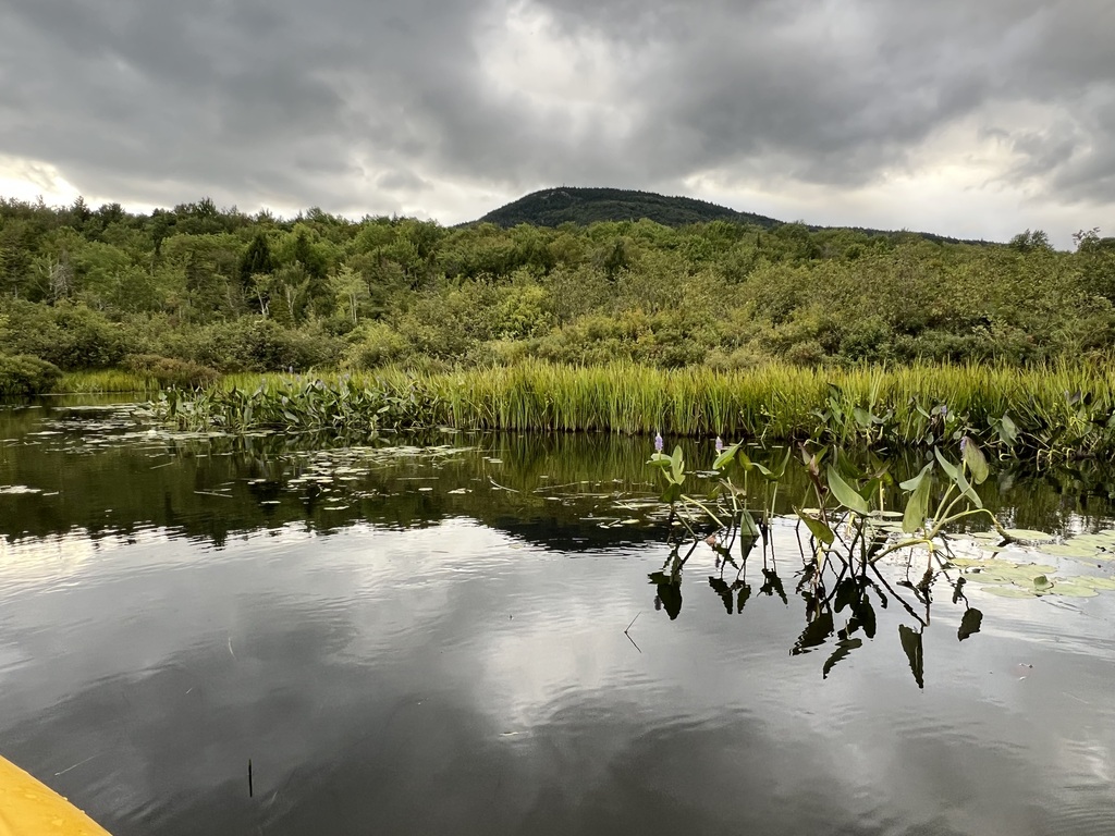 Kayaking on Lake Elmore