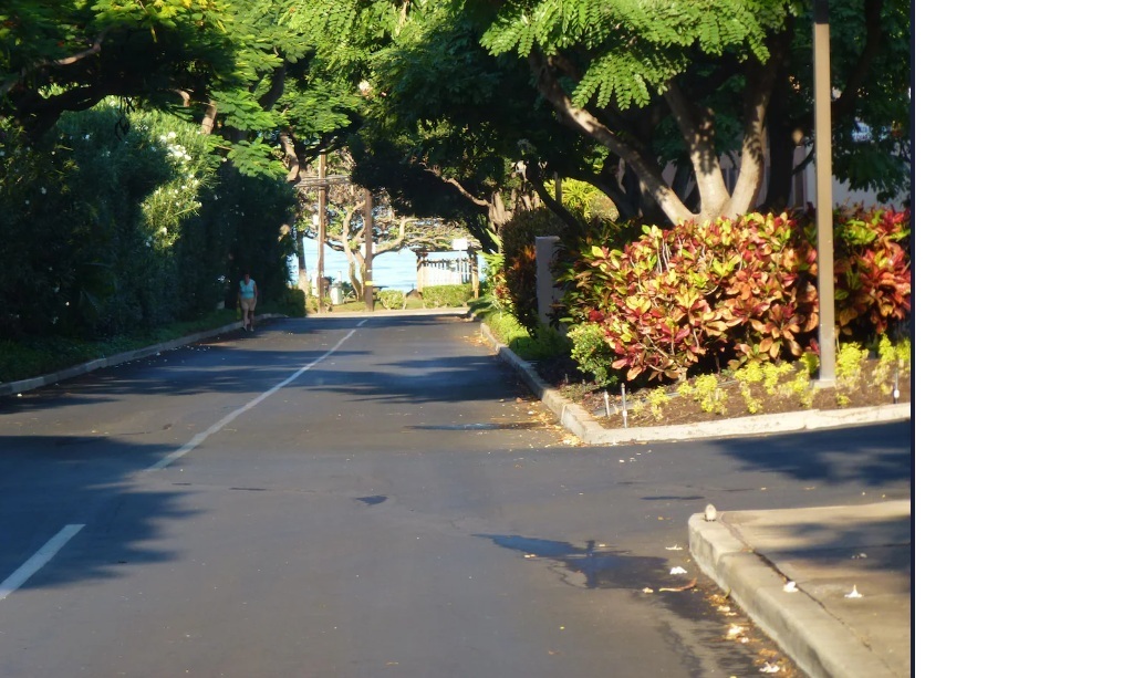Driveway and walk way, from our lanai, down to the beach, restaurants, and shopping
