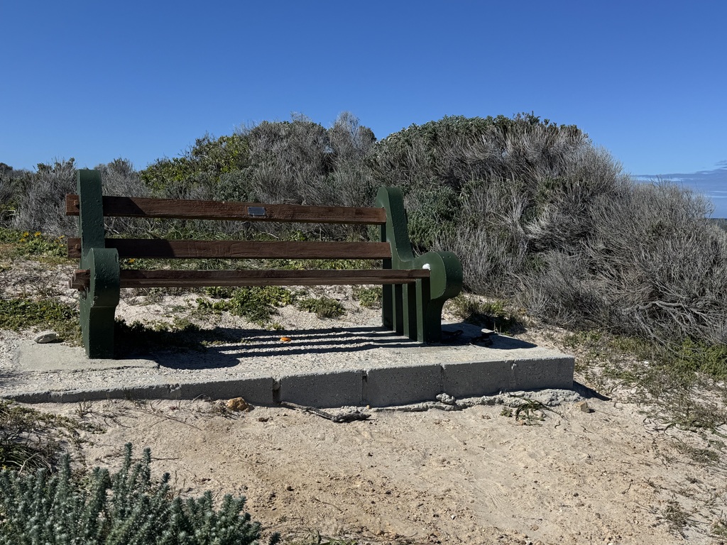 Benches along the beech