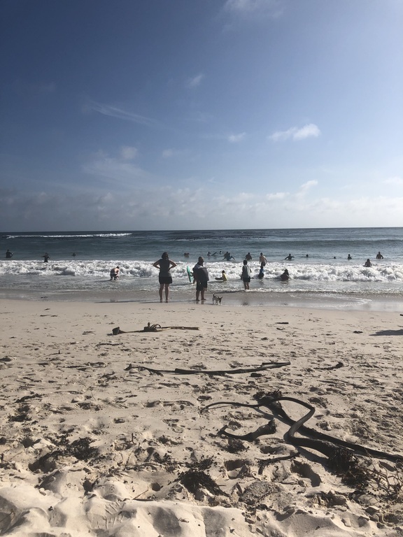 Beach day